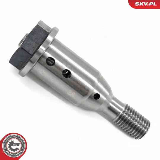 39SKV070 - Control Valve, Camshaft Adjustment 