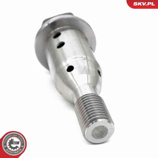 39SKV070 - Control Valve, Camshaft Adjustment 