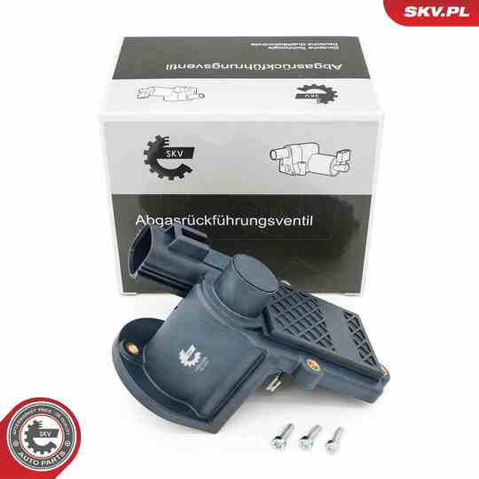 14SKV286 - EGR Valve 