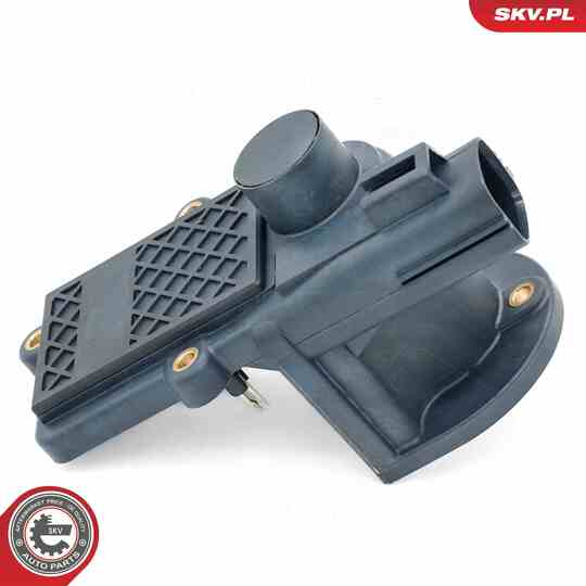 14SKV286 - EGR Valve 