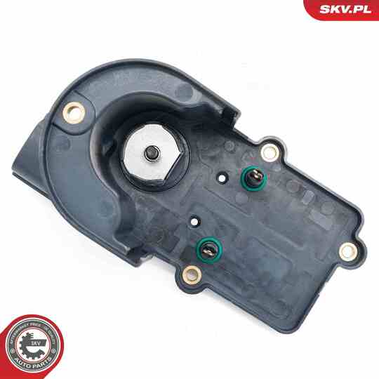 14SKV286 - EGR Valve 