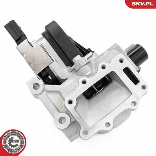 14SKV280 - EGR Valve 