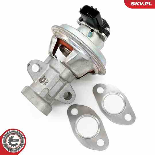 14SKV262 - EGR Valve 