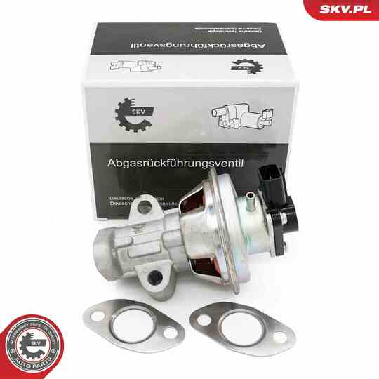 14SKV262 - EGR Valve 