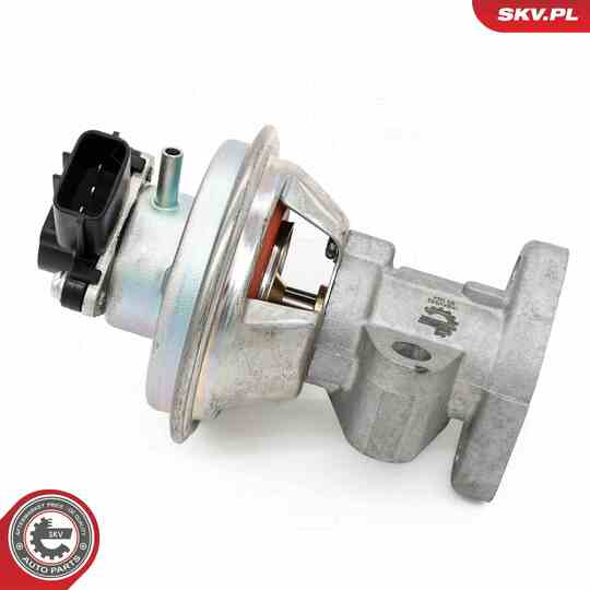 14SKV262 - EGR Valve 