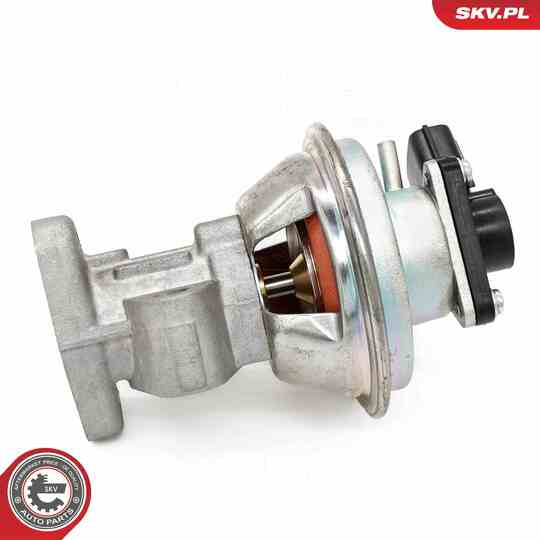 14SKV262 - EGR Valve 