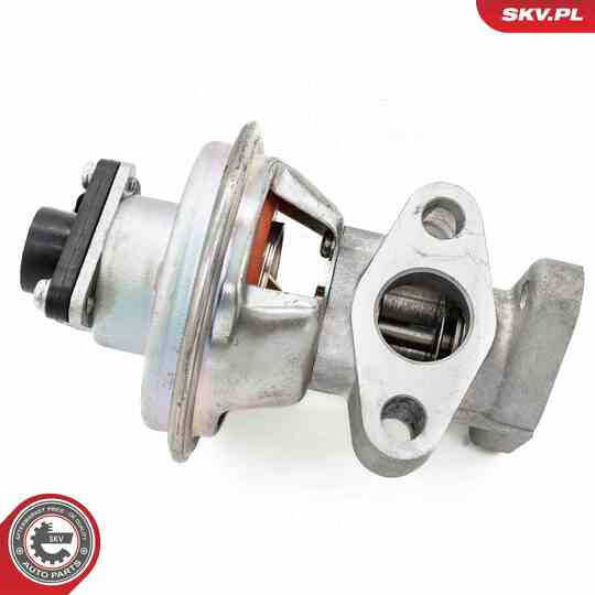 14SKV262 - EGR Valve 