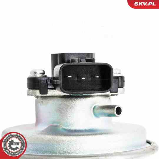 14SKV262 - EGR Valve 