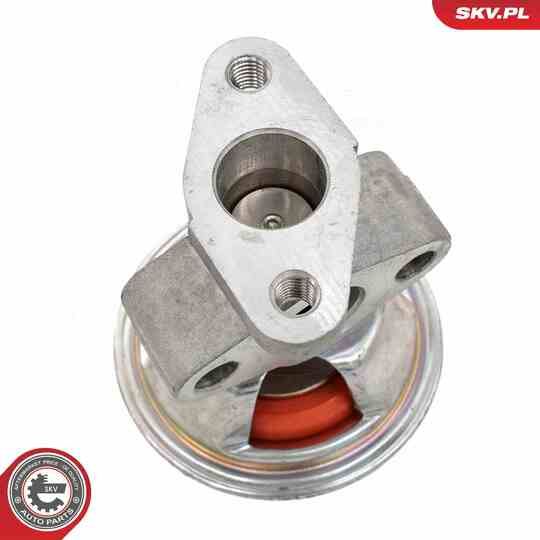 14SKV262 - EGR Valve 