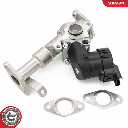 14SKV287 - EGR Valve 