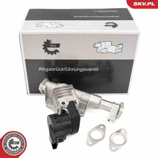 14SKV287 - EGR Valve 