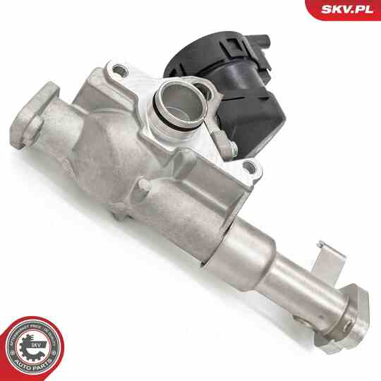 14SKV287 - EGR Valve 