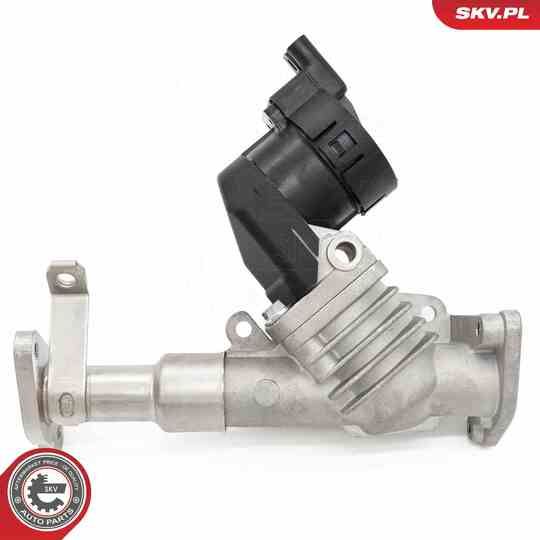 14SKV287 - EGR Valve 