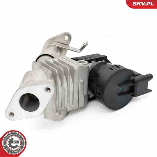 14SKV287 - EGR Valve 