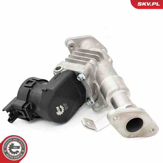 14SKV287 - EGR Valve 