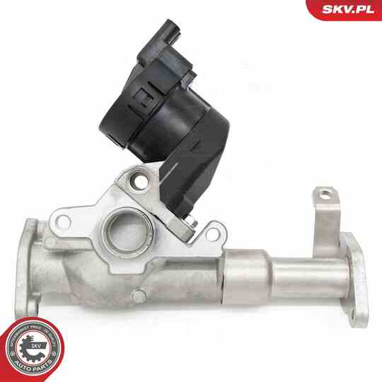 14SKV287 - EGR Valve 