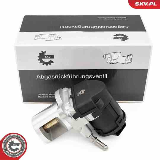 14SKV266 - EGR Valve 