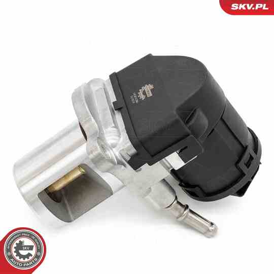 14SKV266 - EGR Valve 