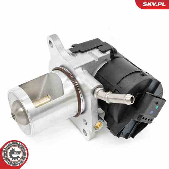 14SKV266 - EGR Valve 