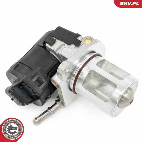 14SKV266 - EGR Valve 