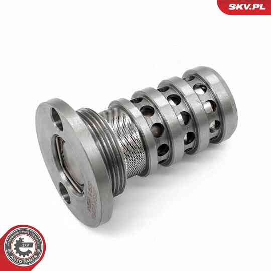 39SKV068 - Control Valve, Camshaft Adjustment 