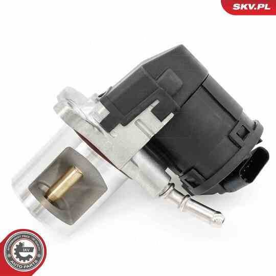 14SKV266 - EGR Valve 