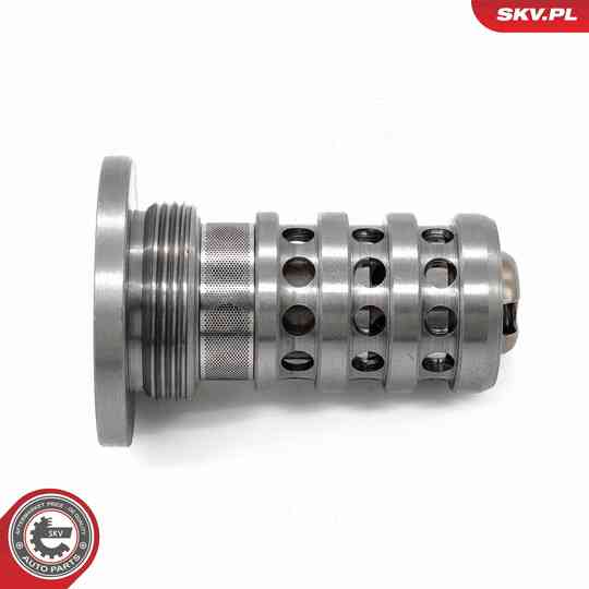 39SKV068 - Control Valve, Camshaft Adjustment 