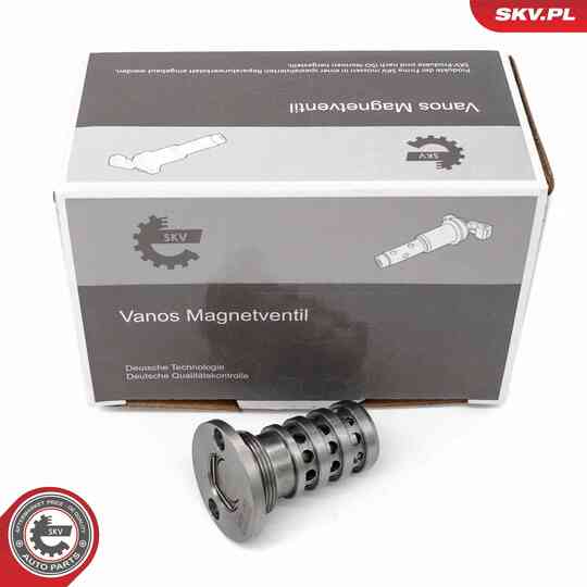 39SKV068 - Control Valve, Camshaft Adjustment 