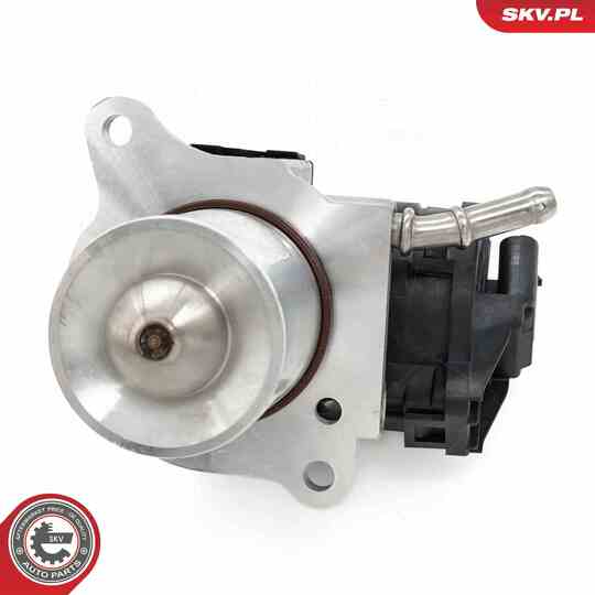 14SKV266 - EGR Valve 