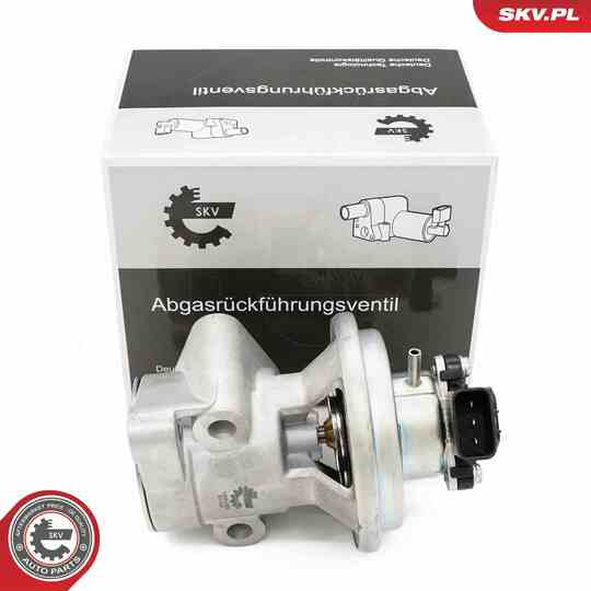 14SKV269 - EGR Valve 