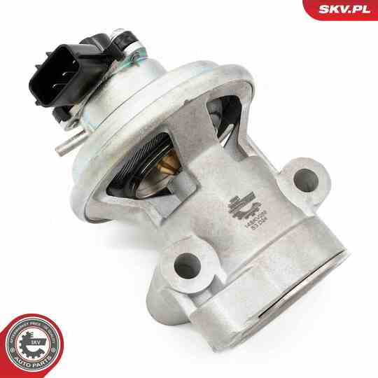 14SKV269 - EGR Valve 