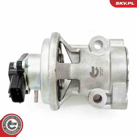 14SKV269 - EGR Valve 