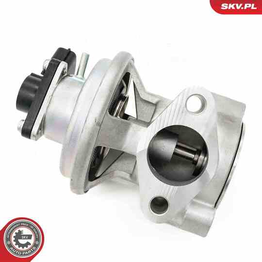 14SKV269 - EGR Valve 