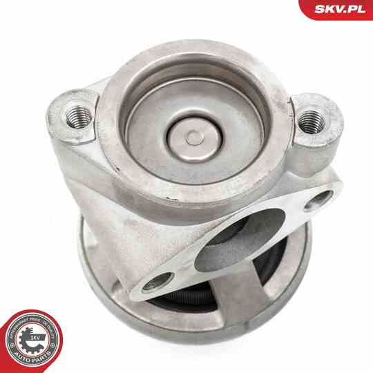 14SKV269 - EGR Valve 