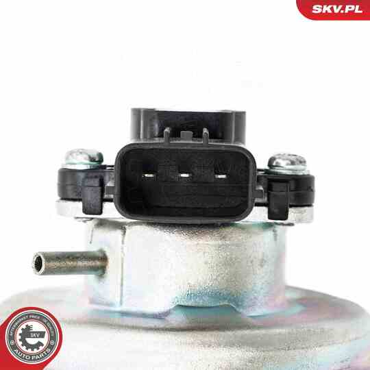 14SKV269 - EGR Valve 