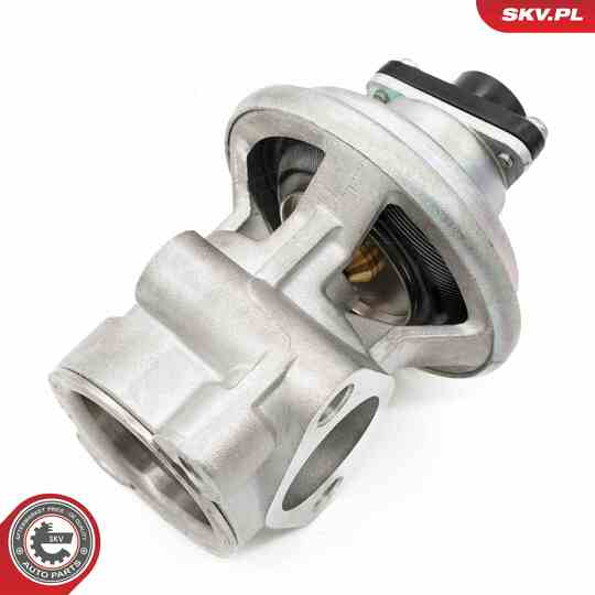 14SKV269 - EGR Valve 