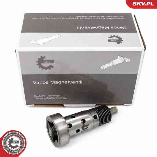 39SKV076 - Control Valve, Camshaft Adjustment 