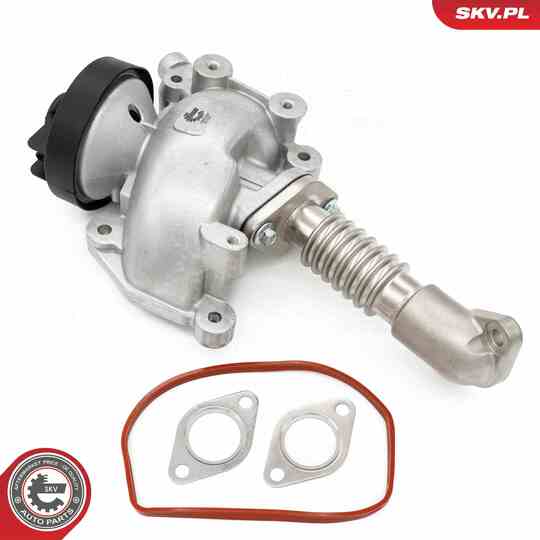 14SKV257 - EGR Valve 