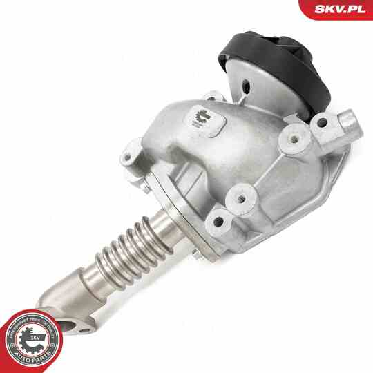 14SKV257 - EGR Valve 