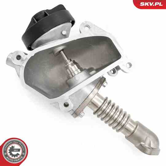 14SKV257 - EGR Valve 