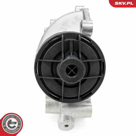 14SKV257 - EGR Valve 