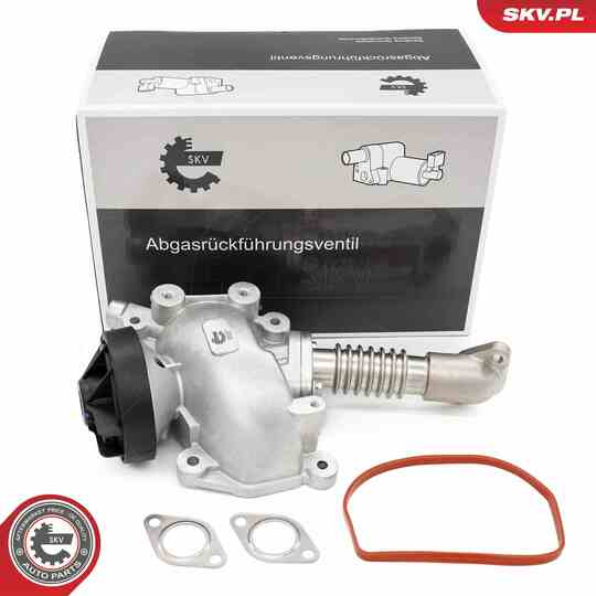 14SKV257 - EGR Valve 