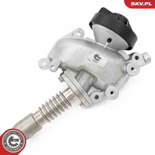 14SKV257 - EGR Valve 