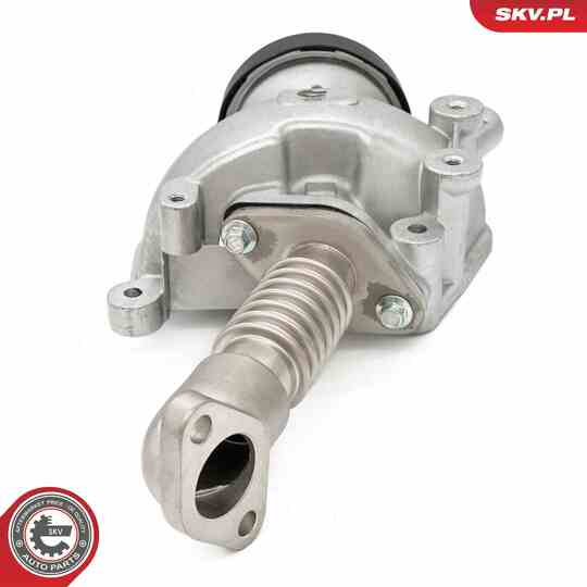 14SKV257 - EGR Valve 