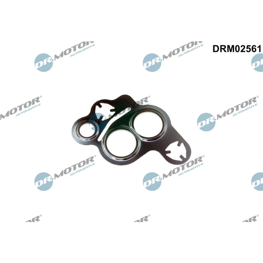 DRM02561 - Seal, EGR valve 