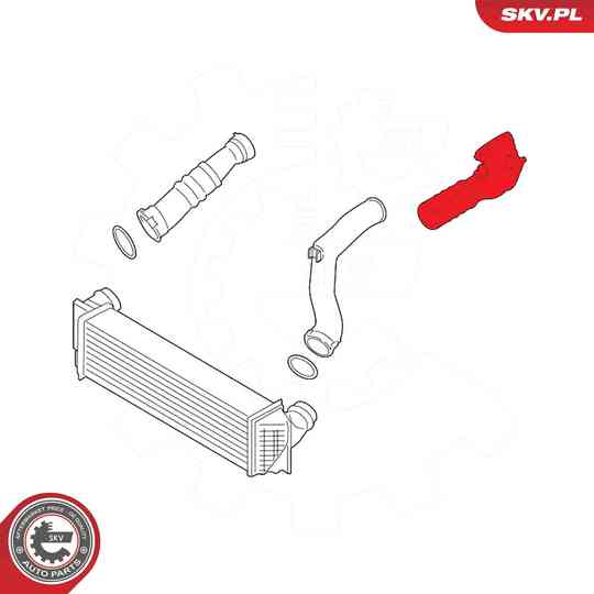 54SKV815 - Radiator Hose 