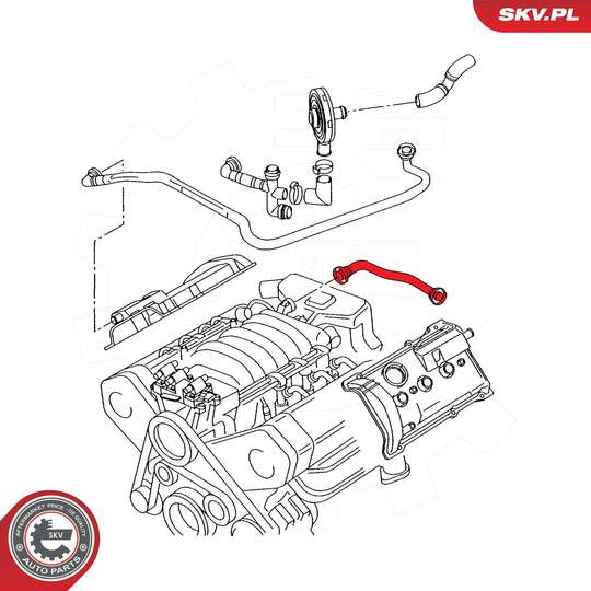 54SKV751 - Hose, crankcase breather 