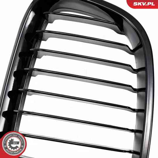 66SKV012 - Radiator Grille 