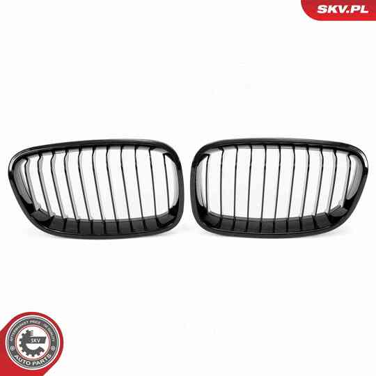 66SKV012 - Radiator Grille 