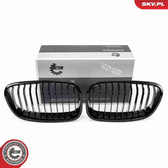 66SKV012 - Radiator Grille 